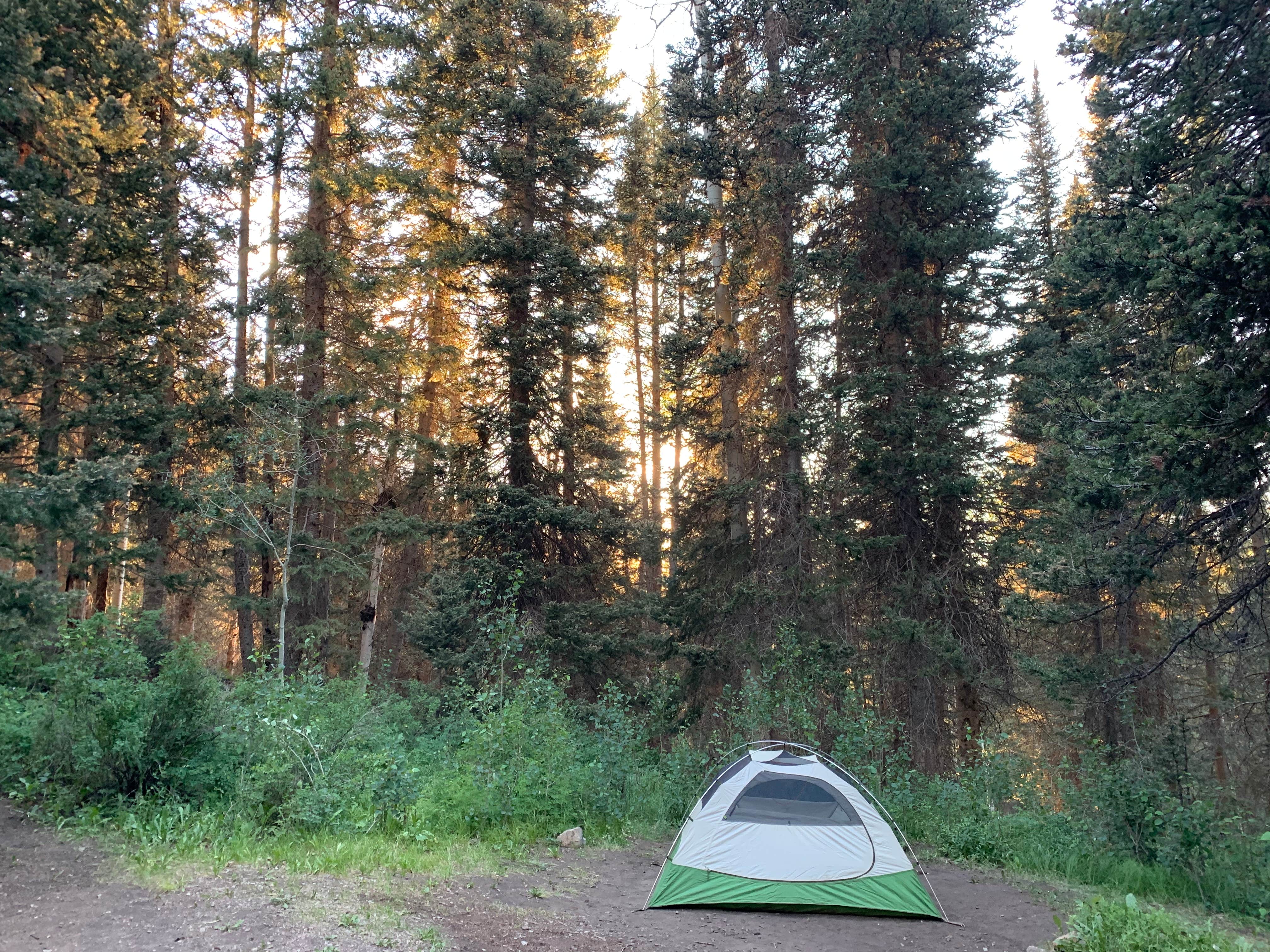 Dalton V.'s photo of tent camping at Oowah Campground near Castle Valley, UT
