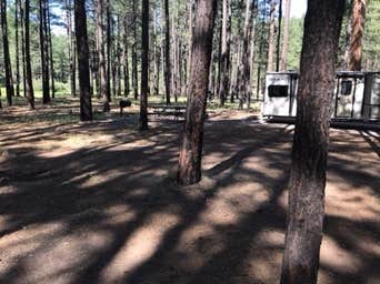 Camper submitted image from Horse Springs Campground - 2