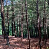 Review photo of Breakneck Campground by Abby L., July 11, 2020