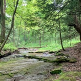 Review photo of Breakneck Campground by Abby L., July 11, 2020