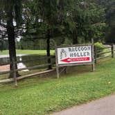 Review photo of Raccoon Holler Campground by Kirsten J., July 11, 2020