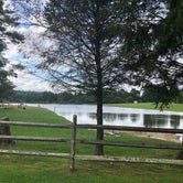 Review photo of Raccoon Holler Campground by Kirsten J., July 11, 2020