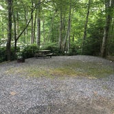 Review photo of Raccoon Holler Campground by Kirsten J., July 11, 2020