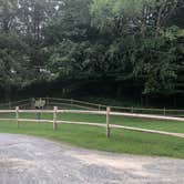 Review photo of Grandfather Campground by Kirsten J., July 11, 2020