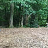 Review photo of Grandfather Campground by Kirsten J., July 11, 2020