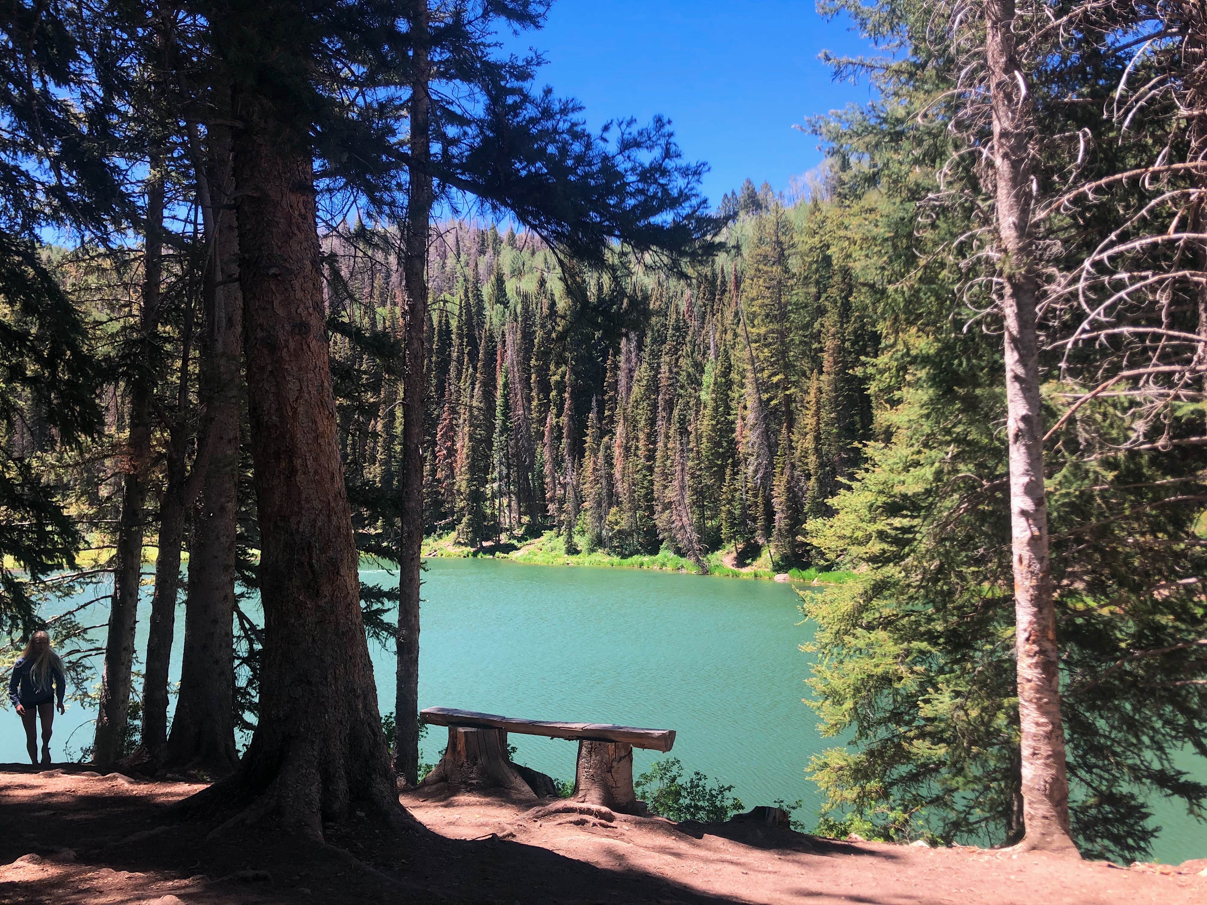 Camper submitted image from Oowah Campground - 3