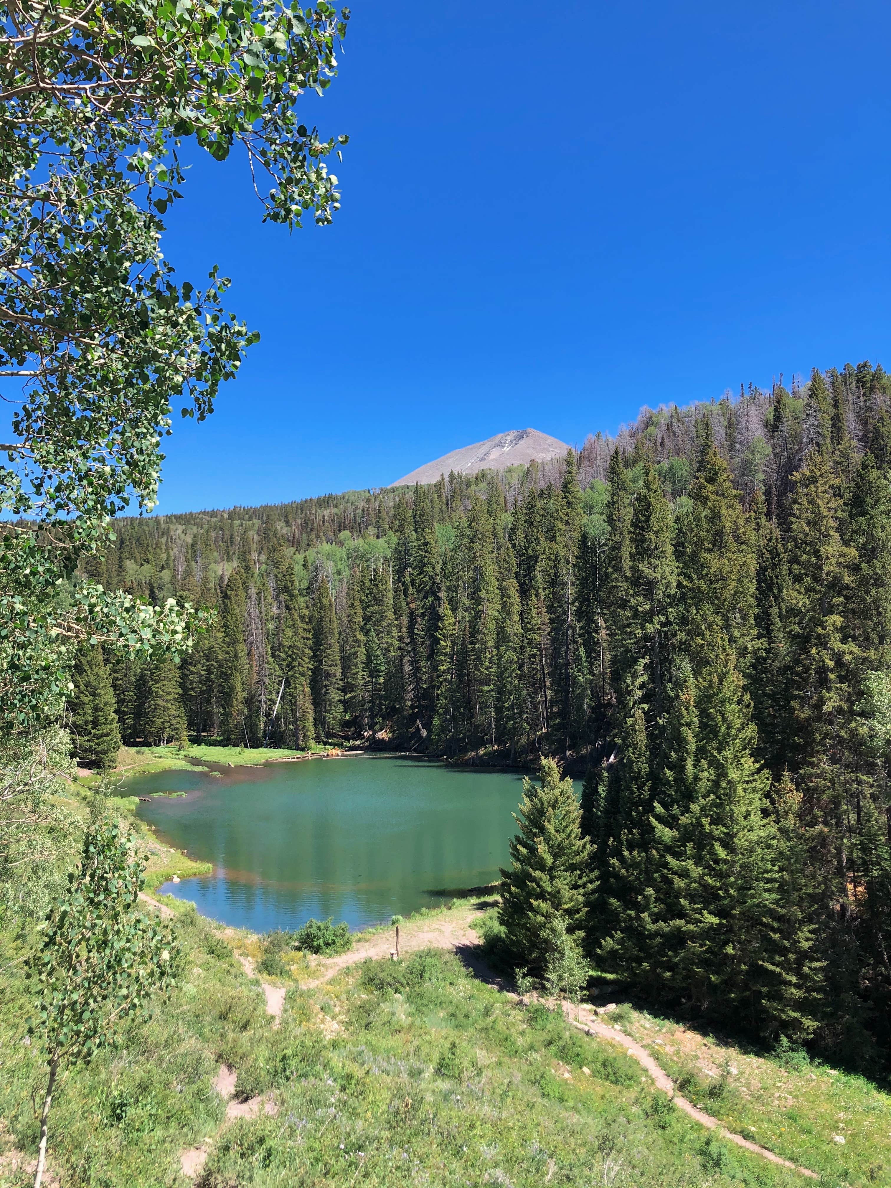 Camper-submitted photo at Oowah Campground near Castle Valley, UT