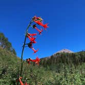 Review photo of Oowah Campground by Lucille W., July 11, 2020