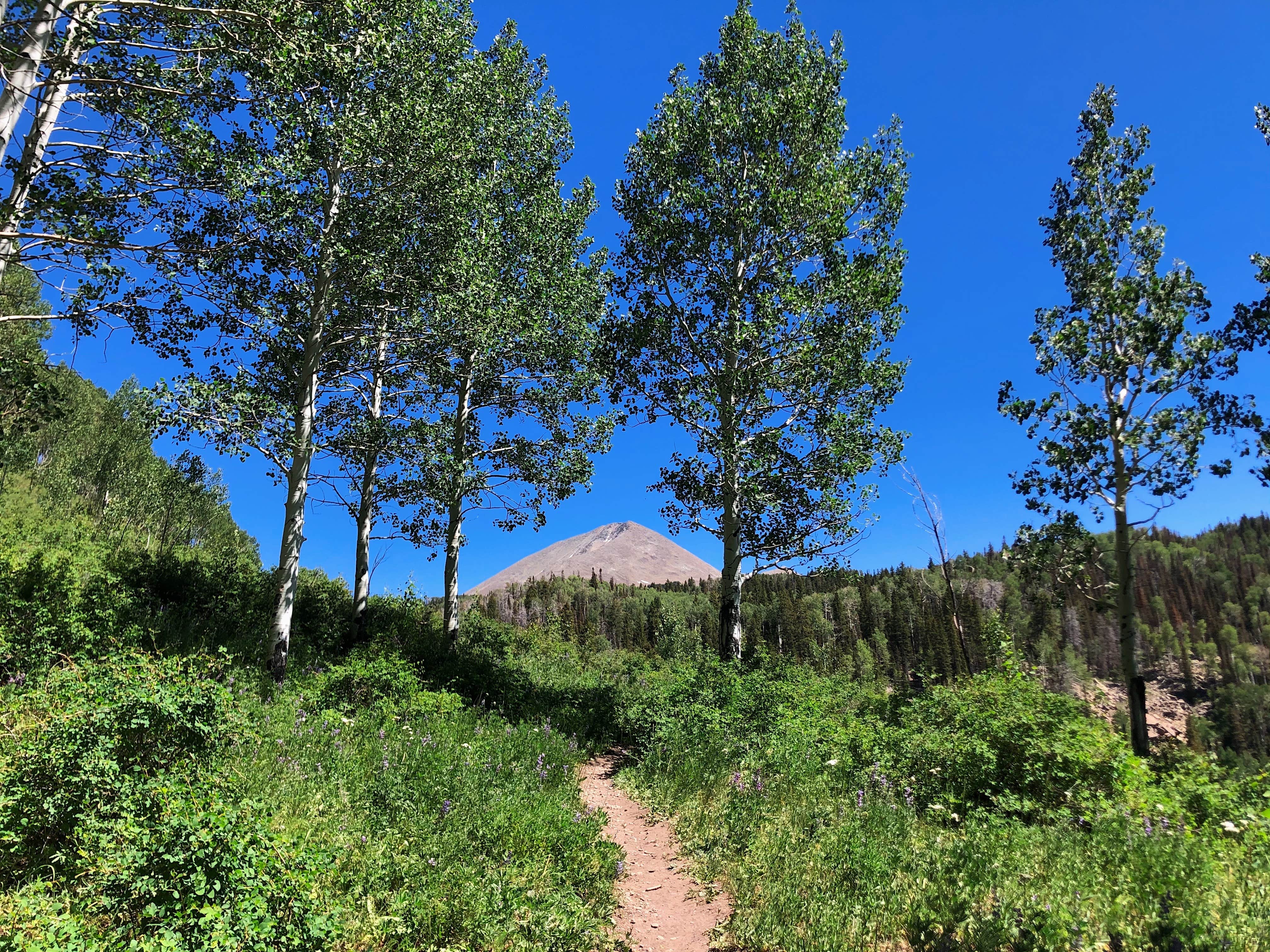 Camper-submitted photo at Oowah Campground near Castle Valley, UT