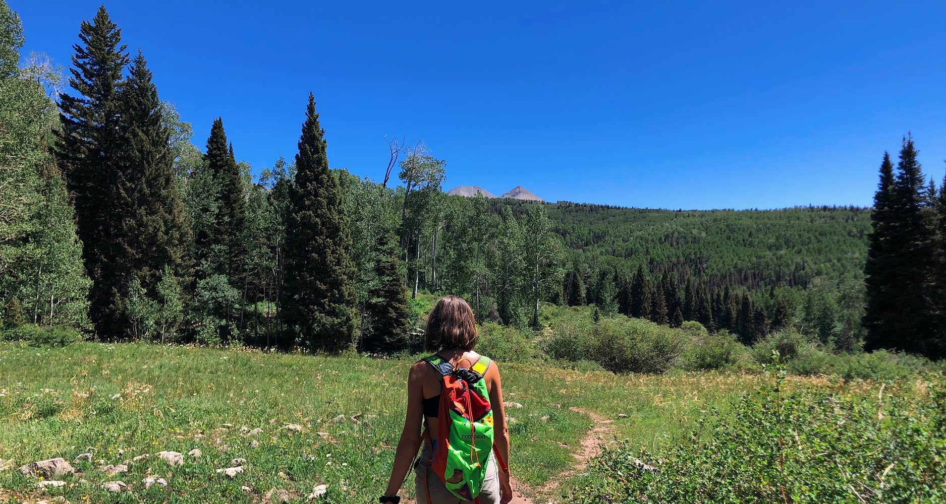 Masons Draw Campground The Dyrt