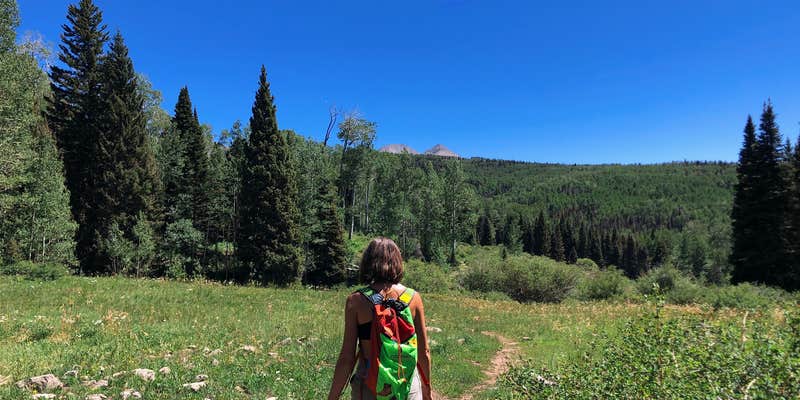 Camper submitted image from Oowah Campground