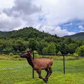 Review photo of Smokemont Campground — Great Smoky Mountains National Park by Jessica L., July 11, 2020