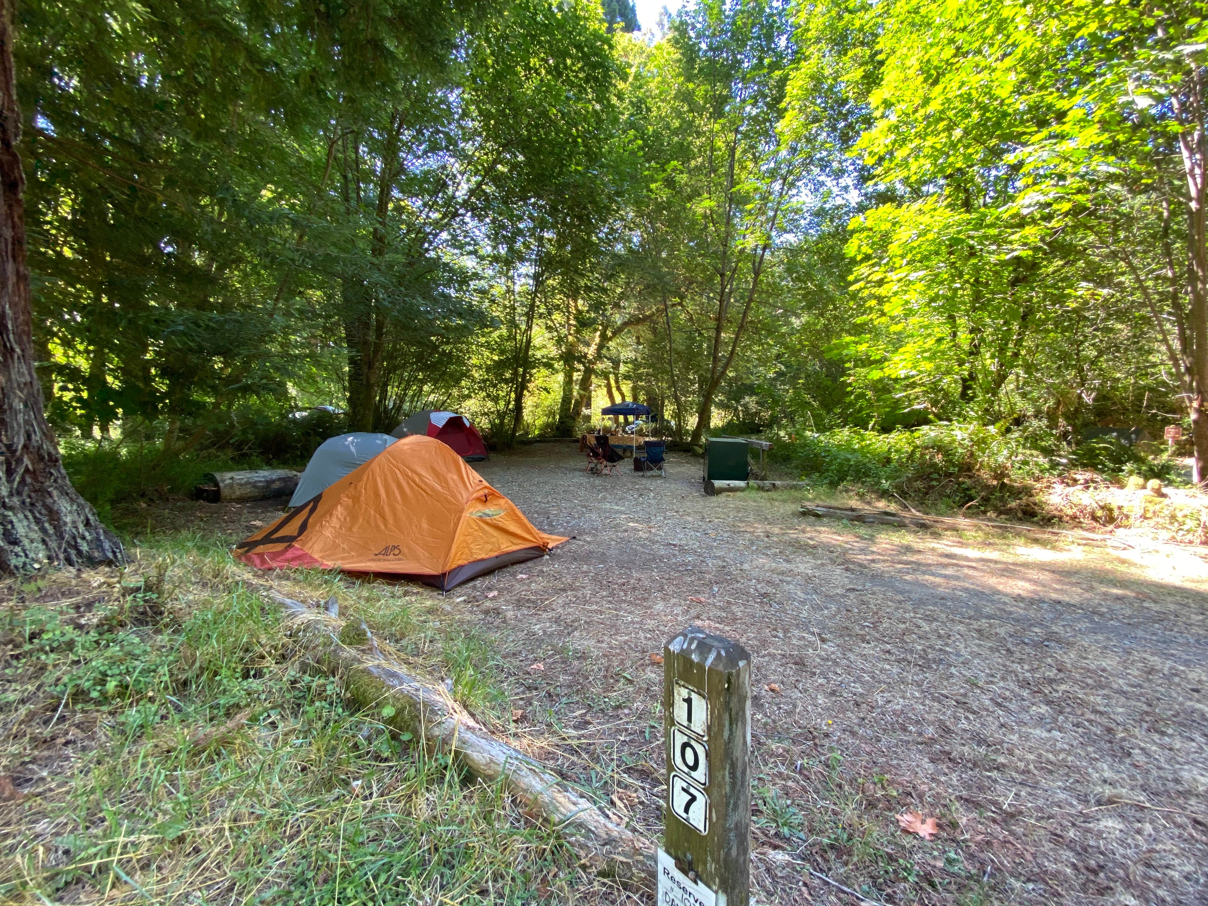 Deanna D.'s photo at Mill Creek Campground — Del Norte Coast Redwoods State Park near Crescent City, CA