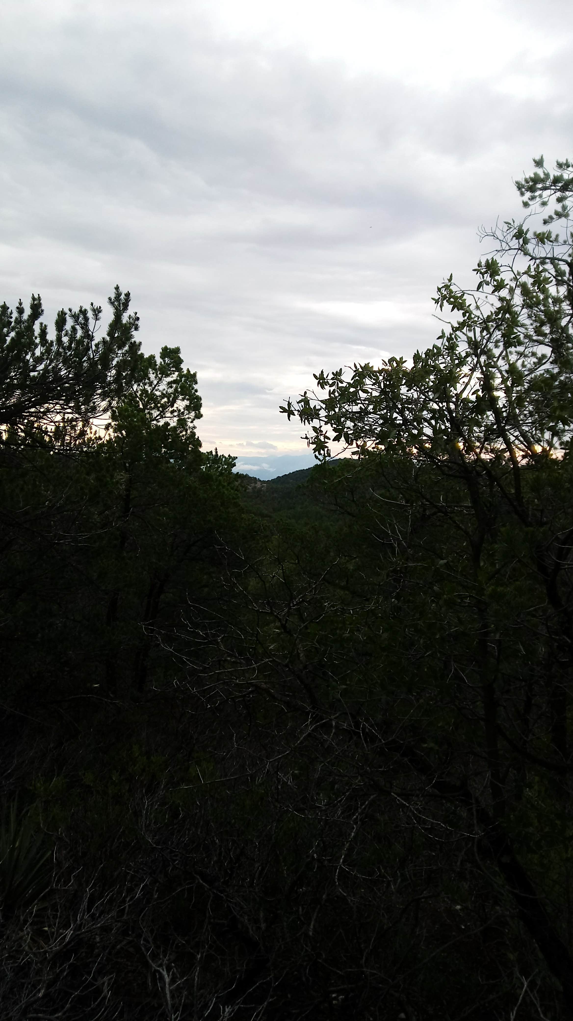 Camper submitted image from Black Jack Campground - 2
