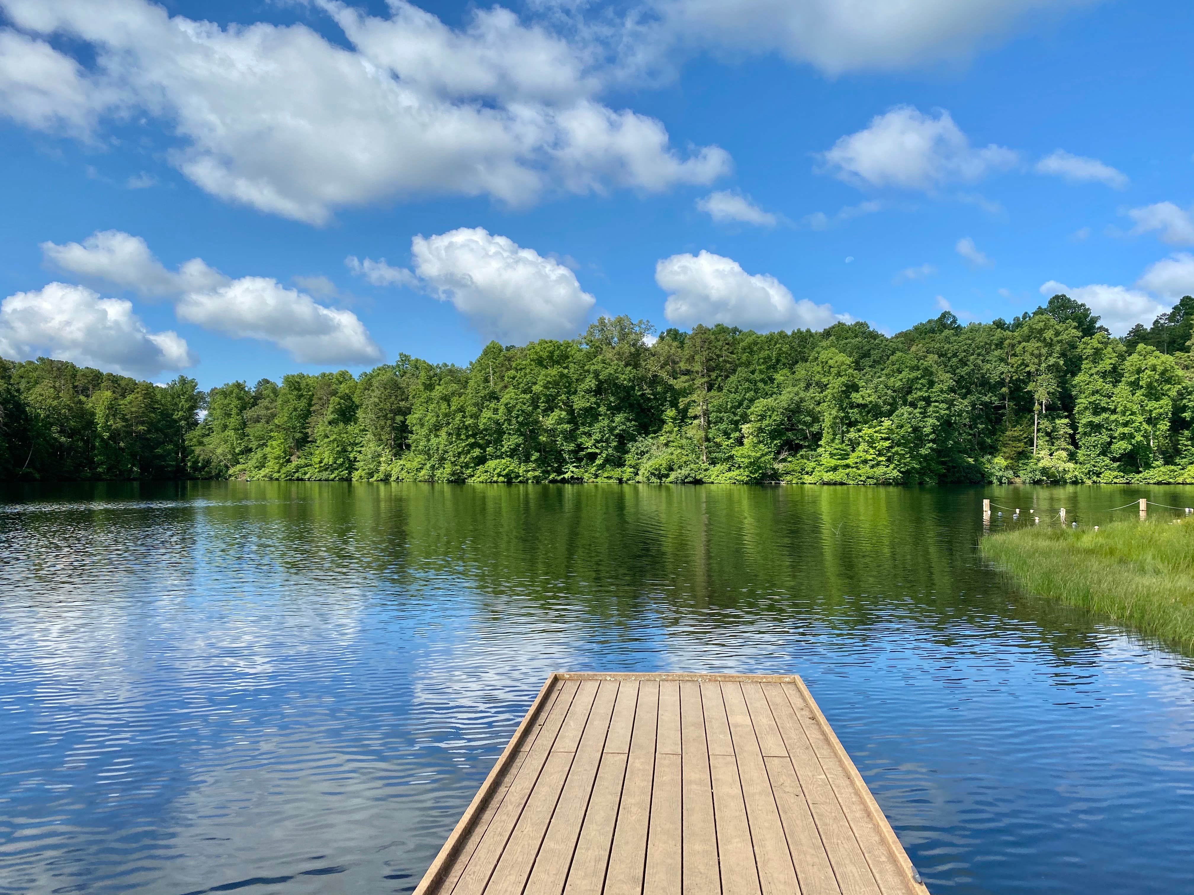 Camper submitted image from Holliday Lake State Park Campground - 3