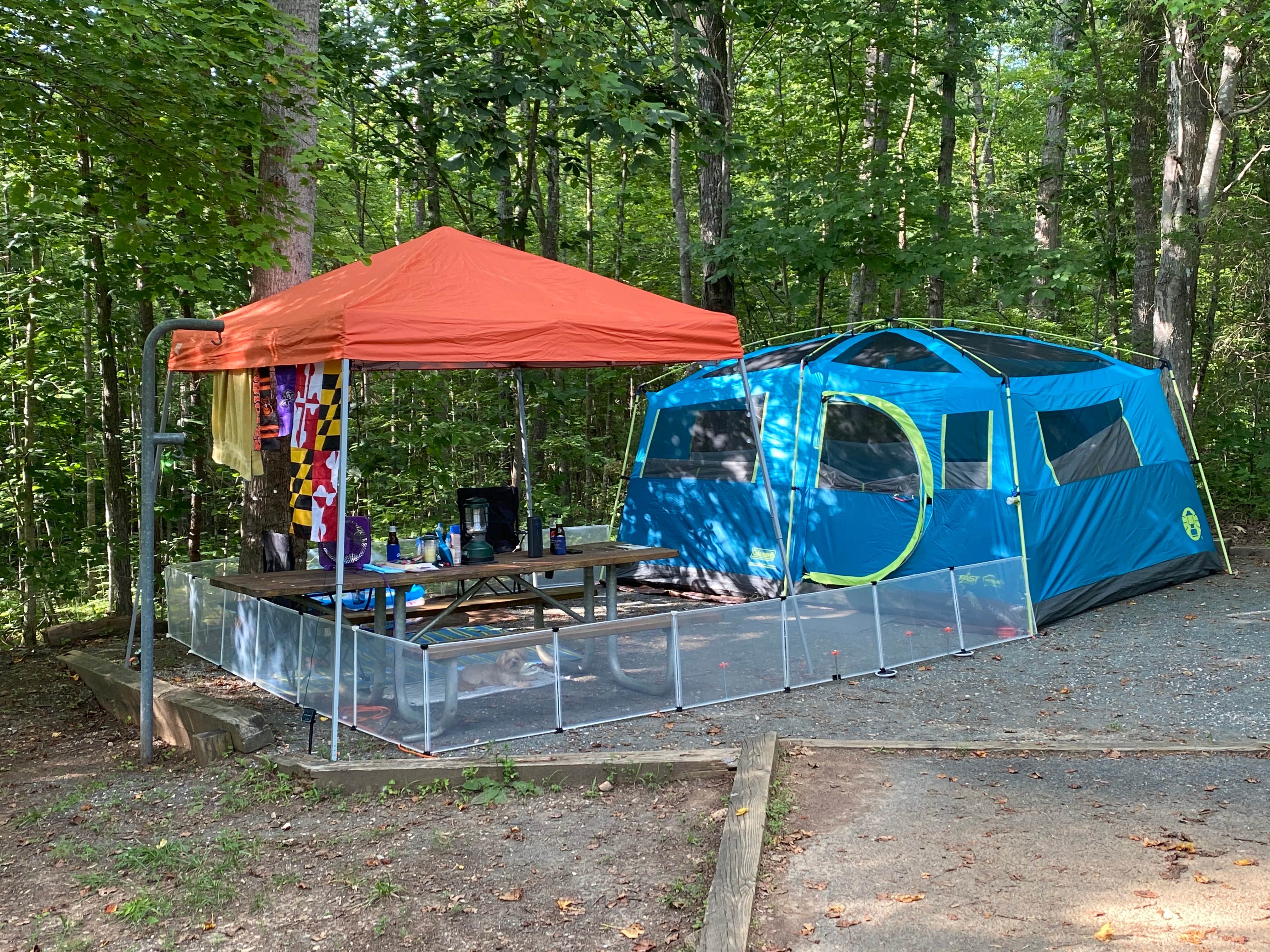 Amanda W.'s photo at Holliday Lake State Park Campground near Burkeville, VA