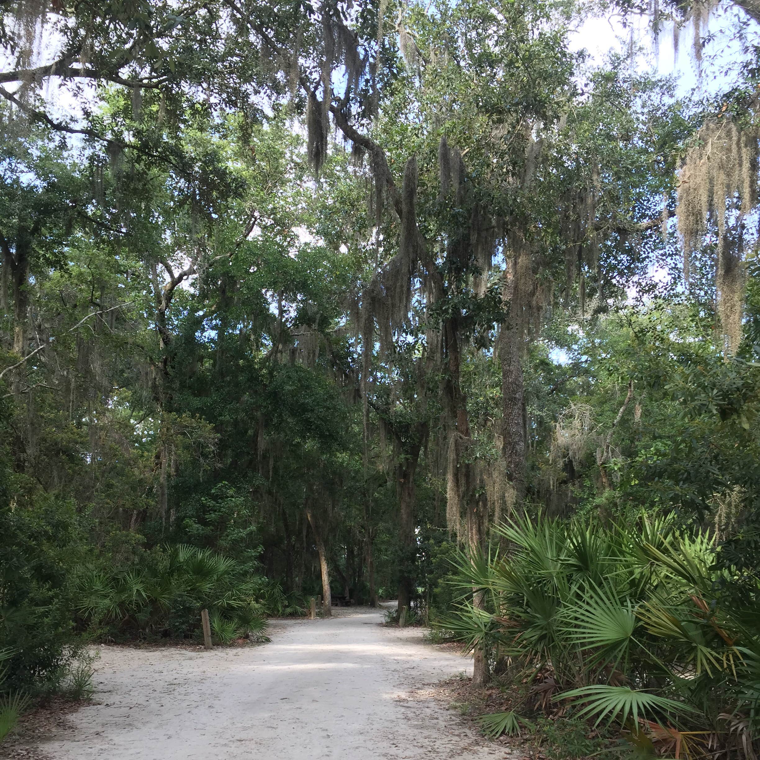 Blythe Island Regional Park Camping The Dyrt