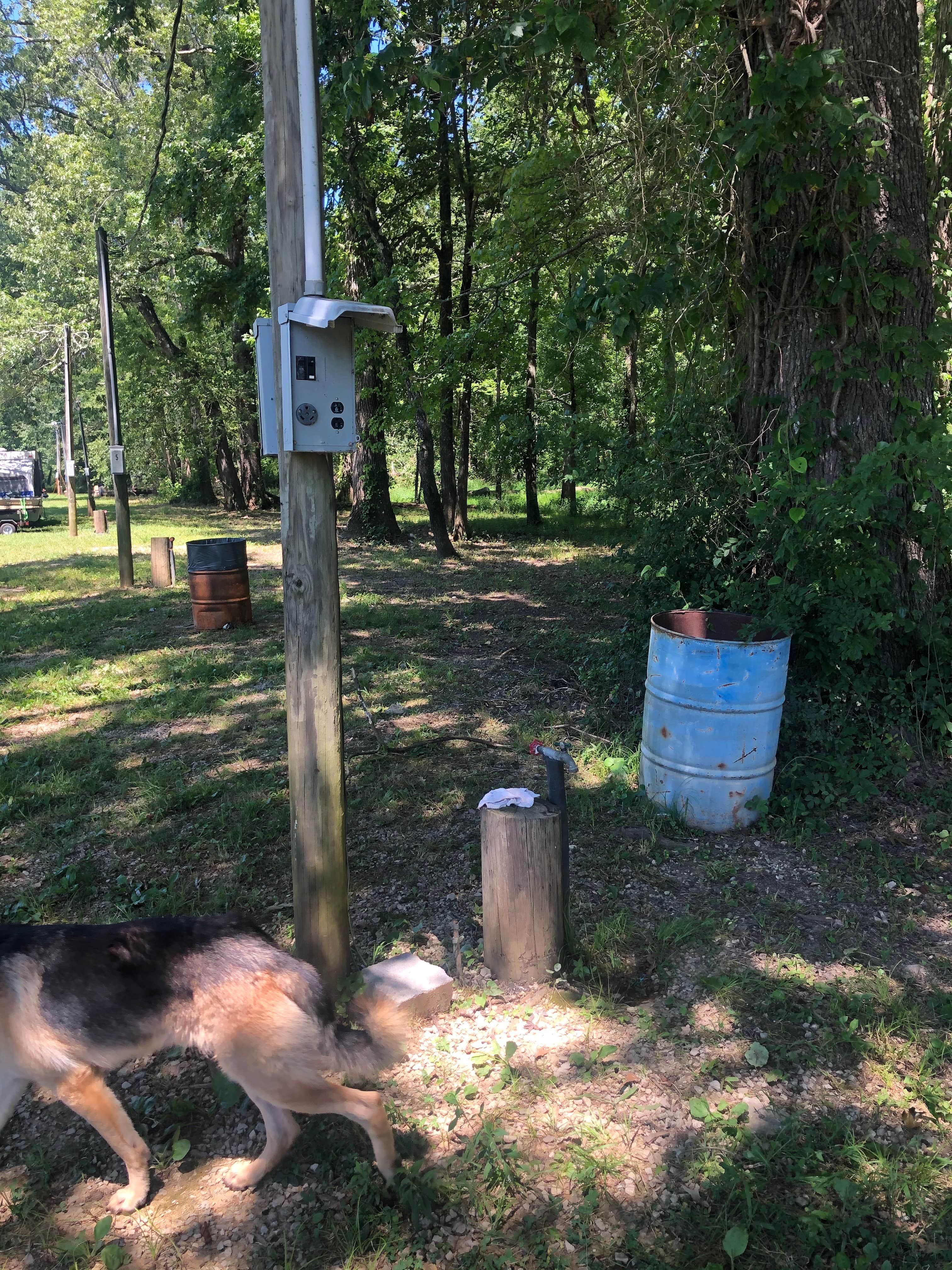 Camper-submitted photo at Stevenson Municipal Park near Hollywood, AL