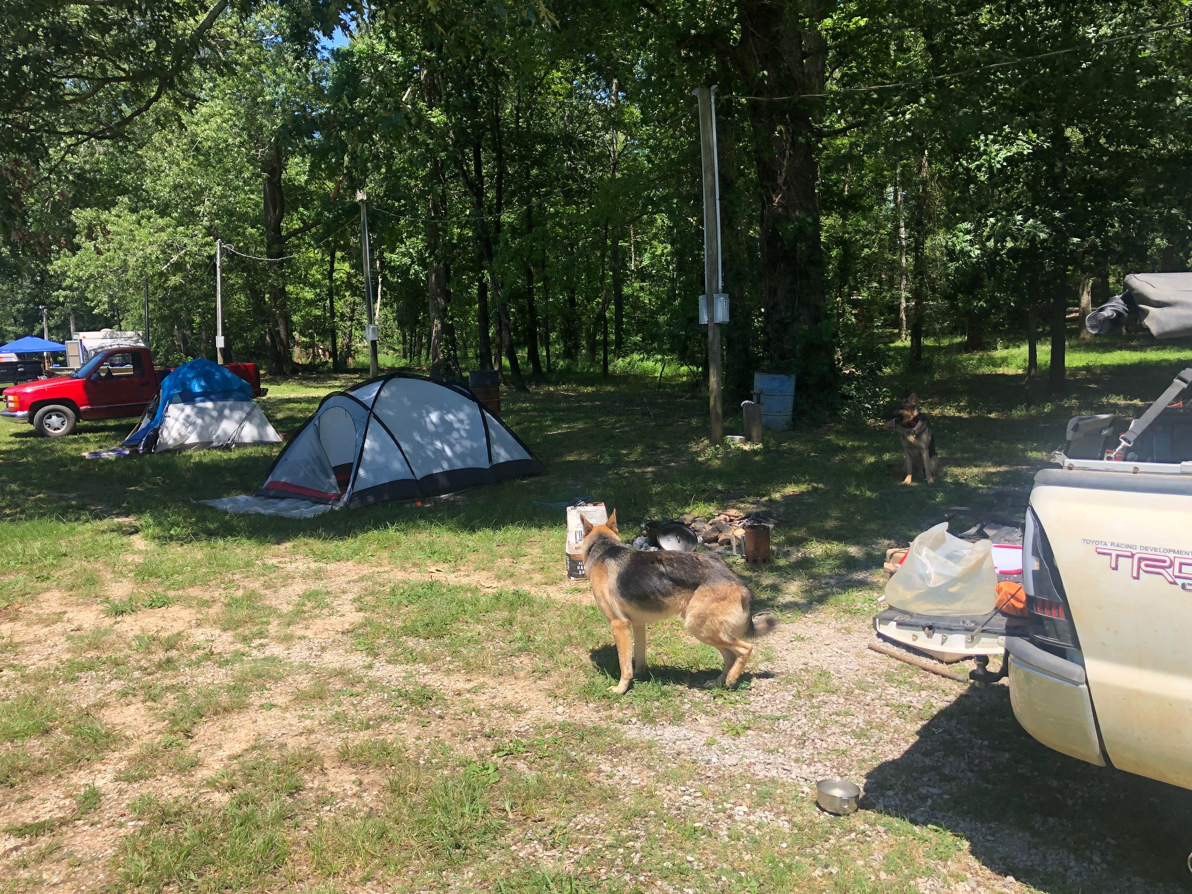 Nic S.'s photo at Stevenson Municipal Park near Bridgeport, AL