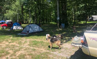 Nic S.'s photo at Stevenson Municipal Park near Bridgeport, AL