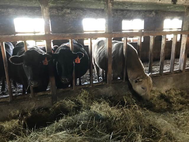 Camper-submitted photo at Oostema Farmstead near Ferndale, WA
