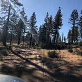 Review photo of Pine Springs Campground by Jessica P., July 11, 2020