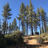 Review photo of Pine Springs Campground by Jessica P., July 11, 2020