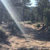 Review photo of Pine Springs Campground by Jessica P., July 11, 2020