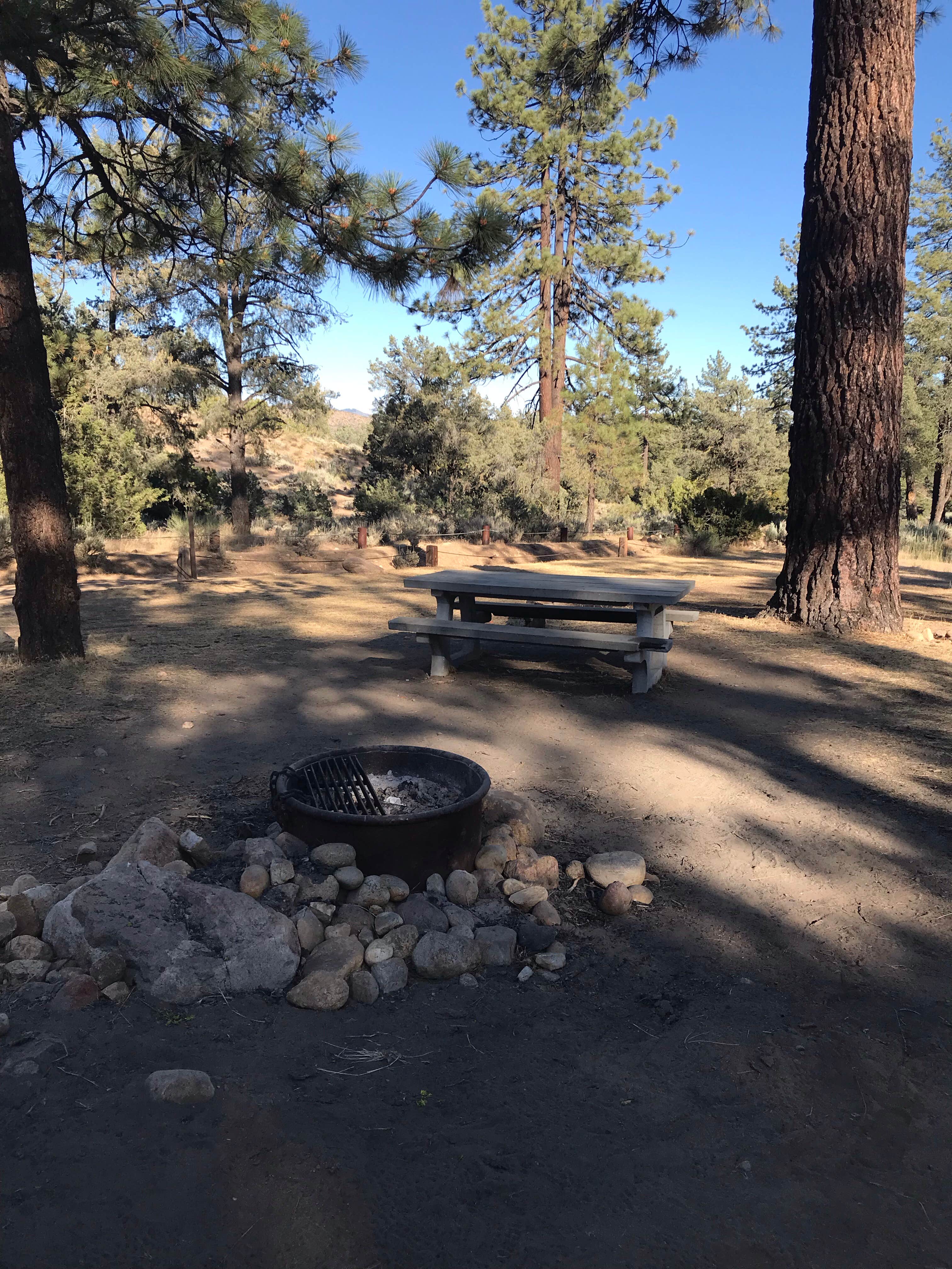 Pine Springs Campground