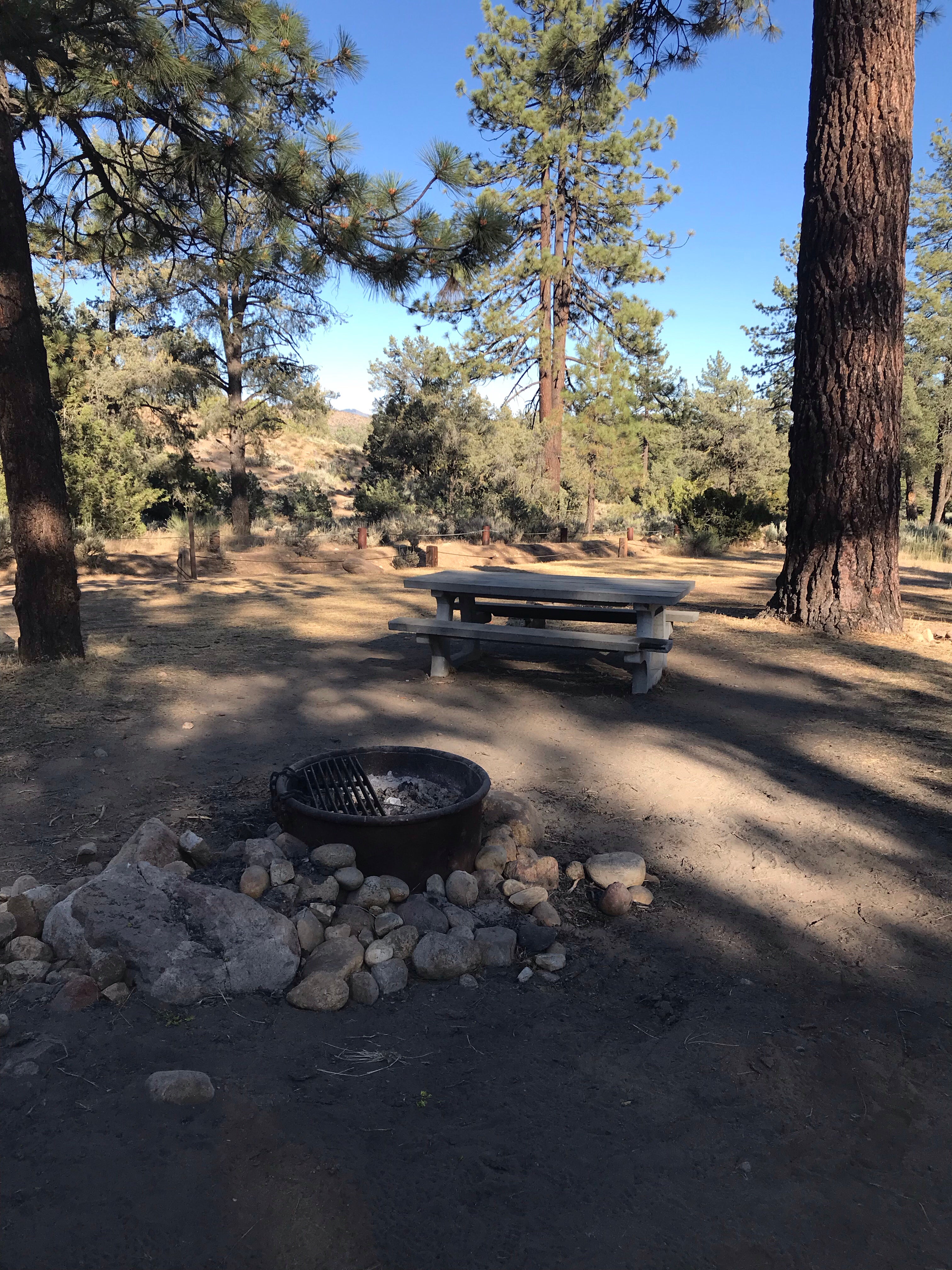 Camper submitted image from Pine Springs Campground - 1
