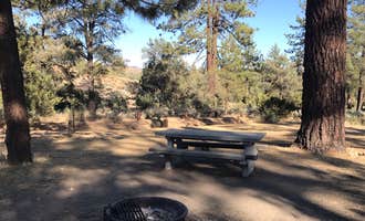 Camping near Reyes Creek Campground: Pine Springs Campground, Pine Mountain Club, California