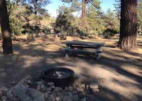 Pine Springs Campground