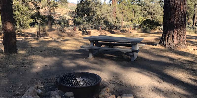 Camper submitted image from Pine Springs Campground