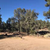 Review photo of Pine Springs Campground by Jessica P., July 11, 2020