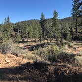 Review photo of Pine Springs Campground by Jessica P., July 11, 2020
