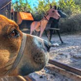 Review photo of Tortilla Campground by Sara S., January 14, 2018