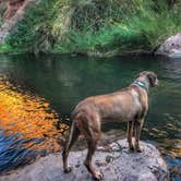 Review photo of Tortilla Campground by Sara S., January 14, 2018