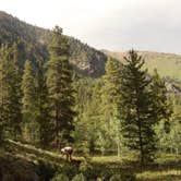 Review photo of Chaffee County Road 390 Dispersed by Tommy S., July 11, 2020