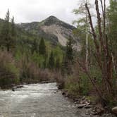 Review photo of Chaffee County Road 390 Dispersed by Tommy S., July 11, 2020