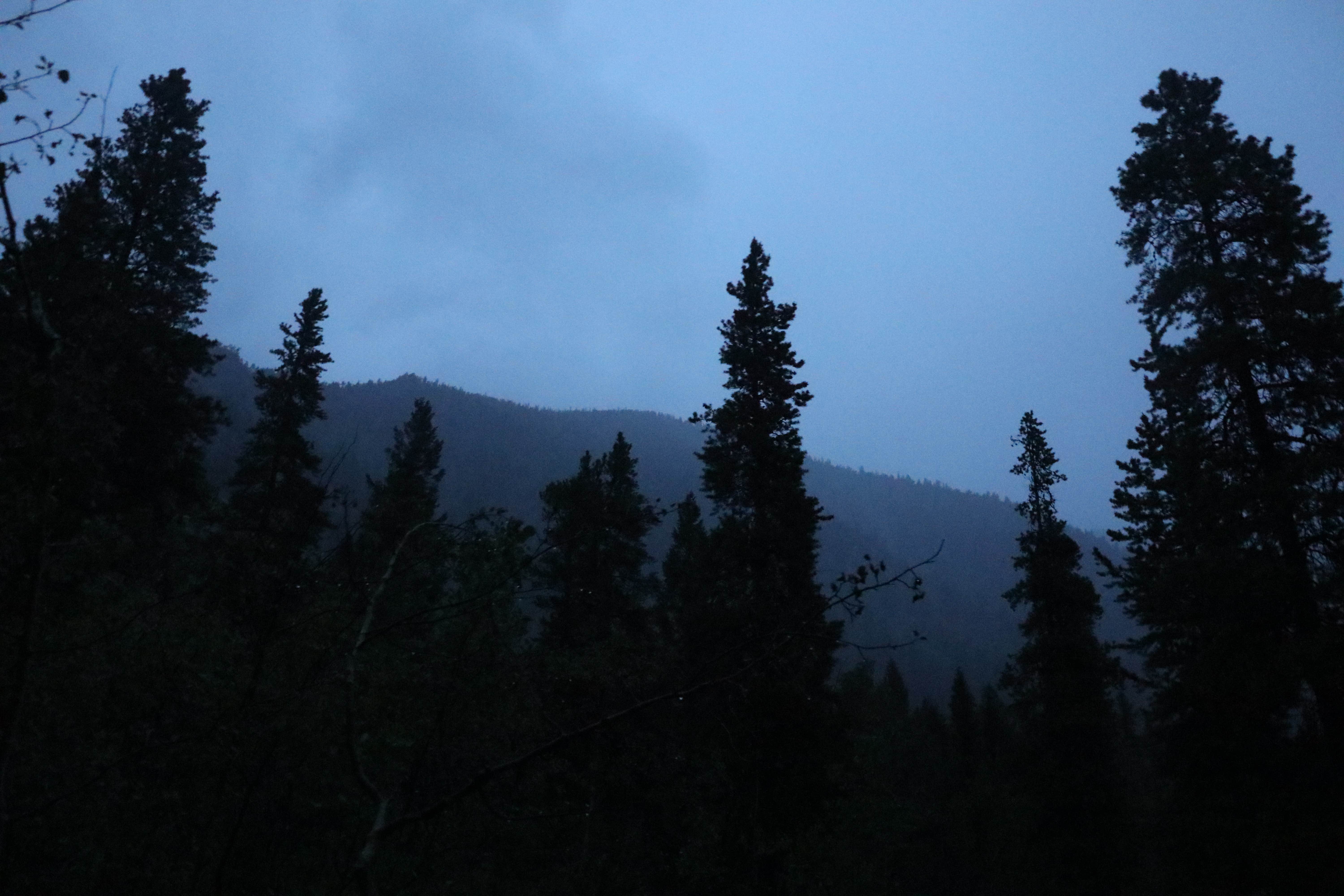 Camper-submitted photo at Chaffee County Road 390 Dispersed near Granite, CO