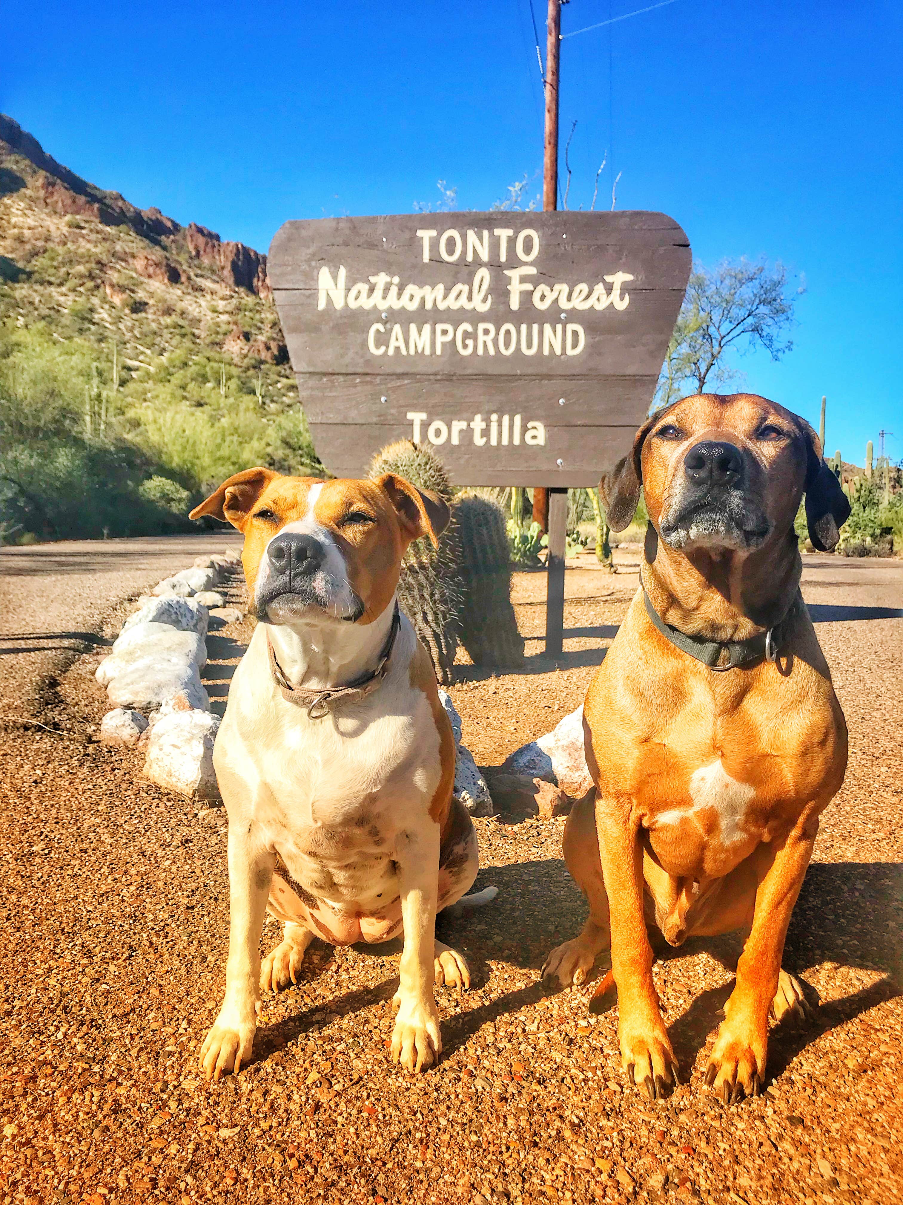Camper-submitted photo at Tortilla Campground near Gold Canyon, AZ