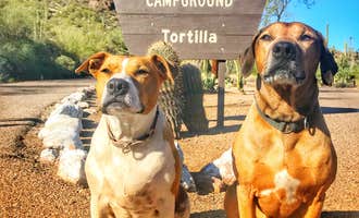 Camping near Canyon Lake Marina & Campground: Tortilla Campground, Tortilla Flat, Arizona