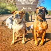 Review photo of Tortilla Campground by Sara S., January 14, 2018