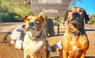 Sara S.'s photo of camping with pets at Tortilla Campground near Gilbert, AZ