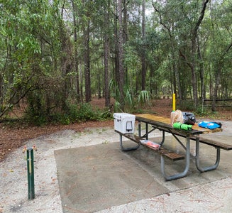 Camper-submitted photo from Lake Manatee State Park Campground