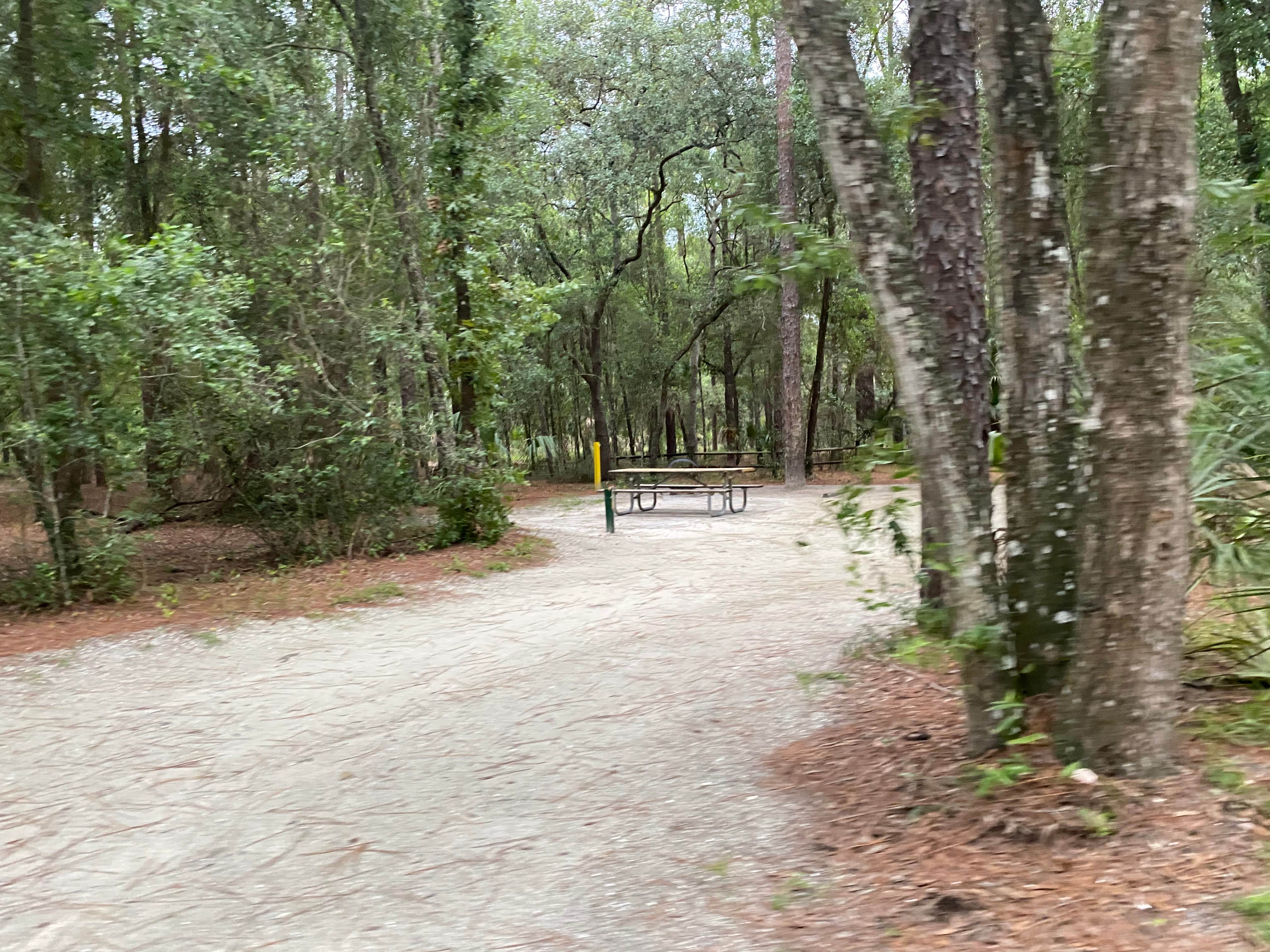 Camper submitted image from Kelly Park Campground - 2