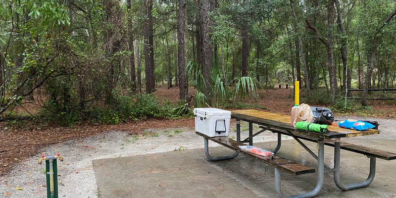 Camper submitted image from Kelly Park Campground