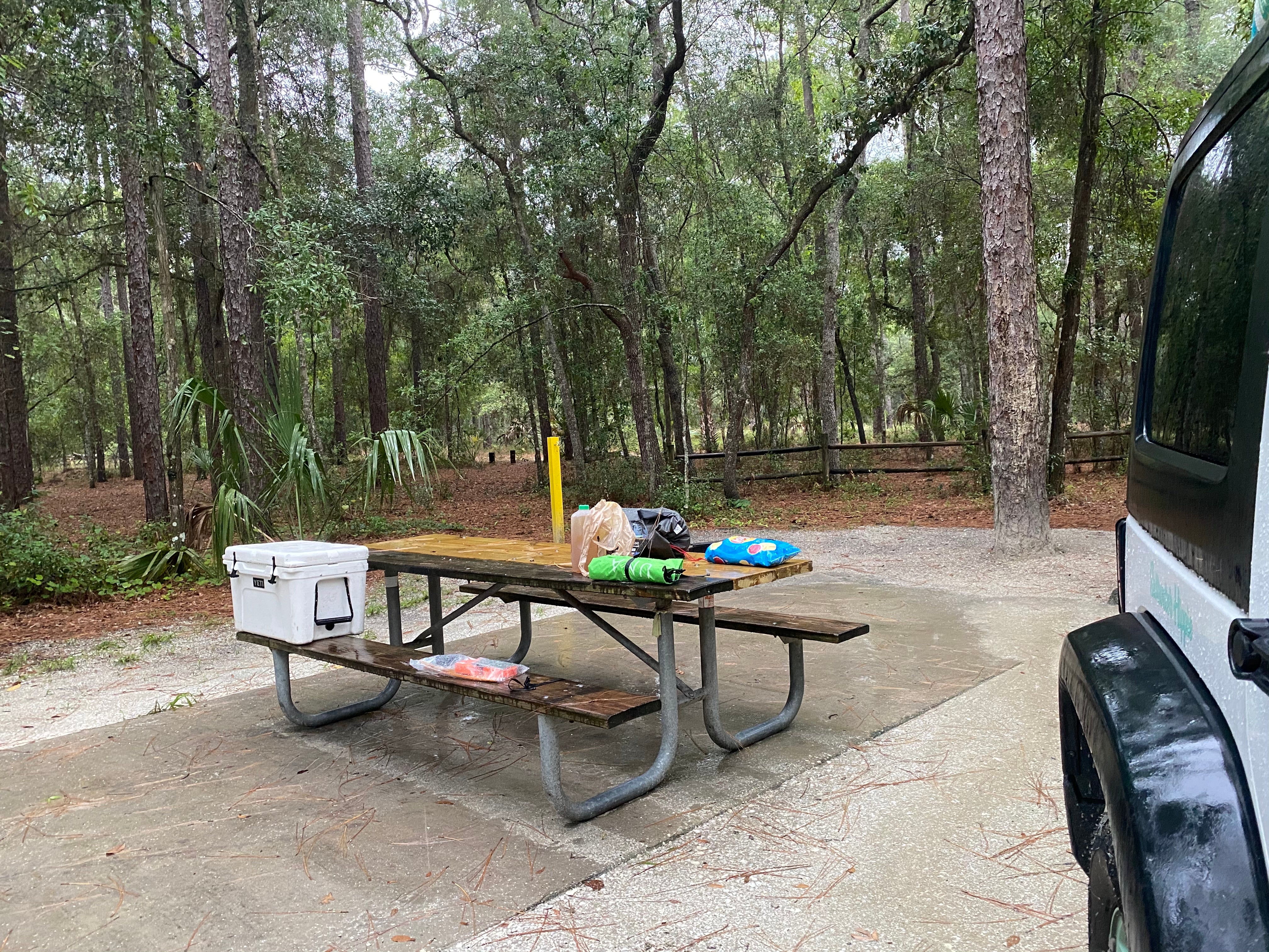 Camper submitted image from Kelly Park Campground - 4