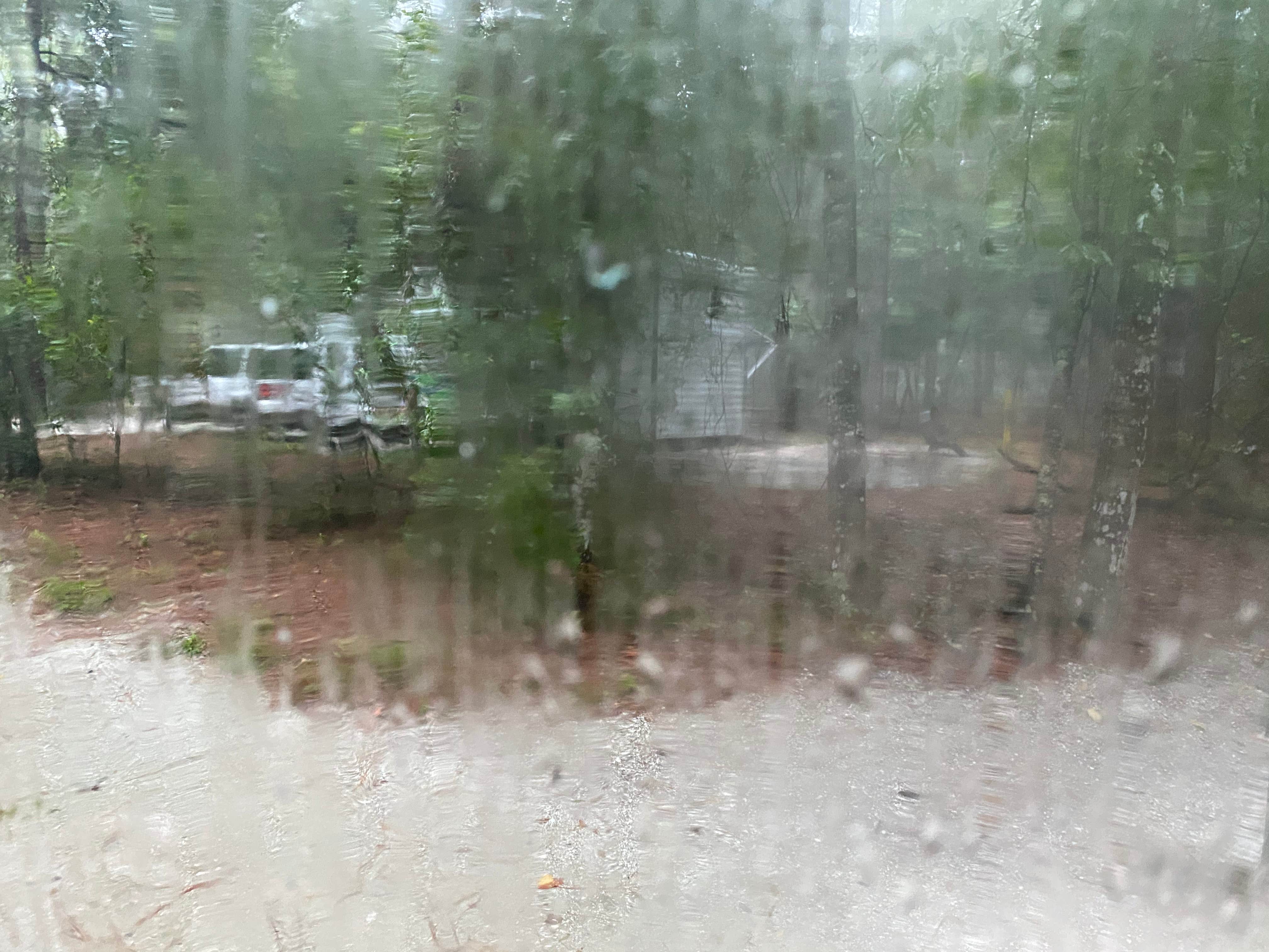 Camper-submitted photo at Kelly Park Campground near Winter Park, FL