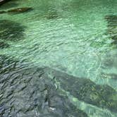 Review photo of Wekiwa Springs State Park Campground by Alyssa D., July 11, 2020